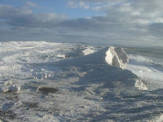 Les buttereaux un hivers très très froid