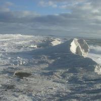 Les buttereaux un hivers très très froid