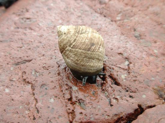 St Pierre et Miquelon