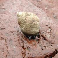 St Pierre et Miquelon