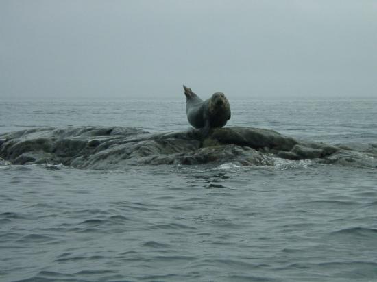 St Pierre et Miquelon