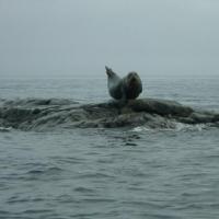 St Pierre et Miquelon