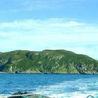 St Pierre le grand colombier